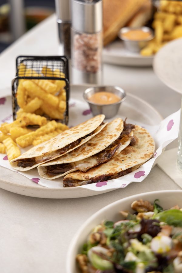 Birria tacos